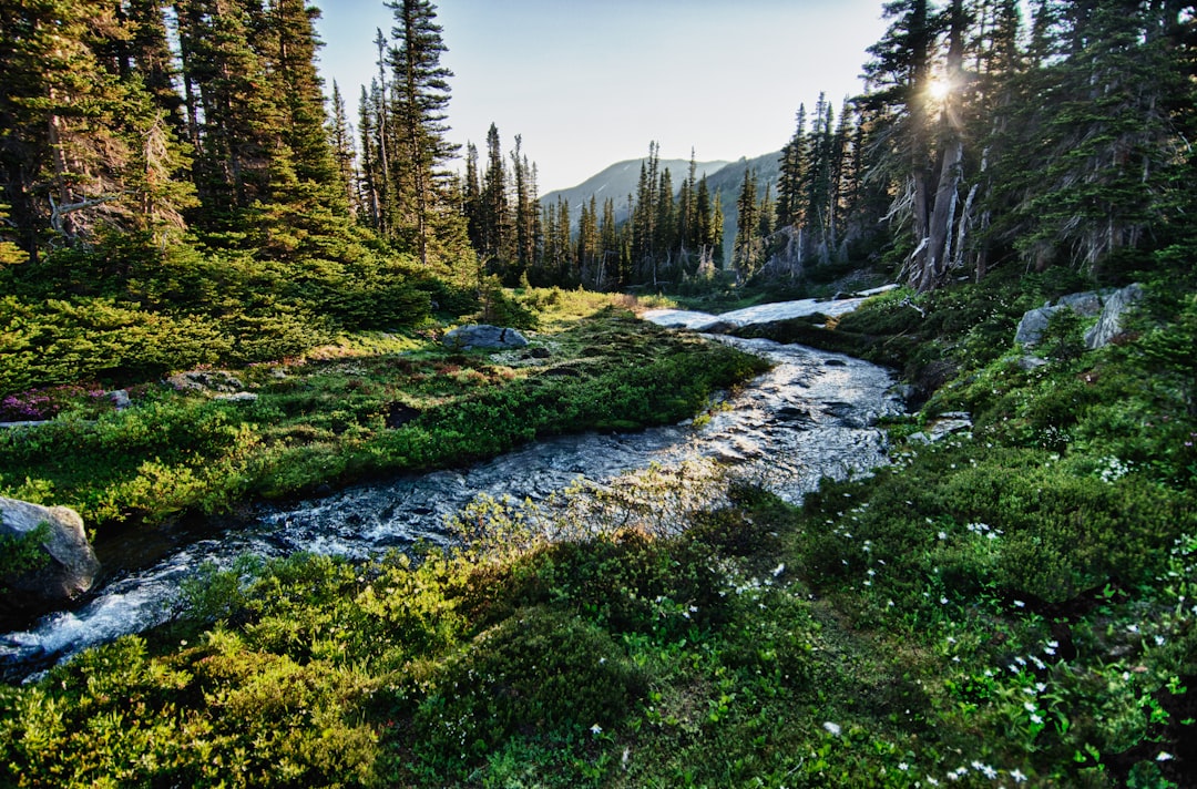 Stream