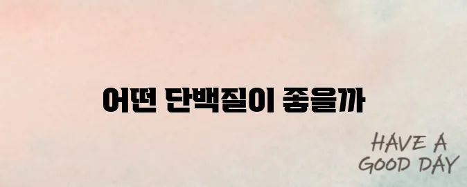 헬스 보충제 추천 단백질 제품 비교