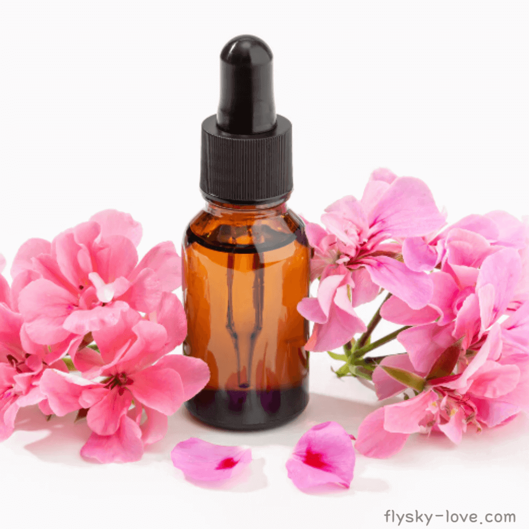 로즈제라늄 (Rose Geranium) 오일