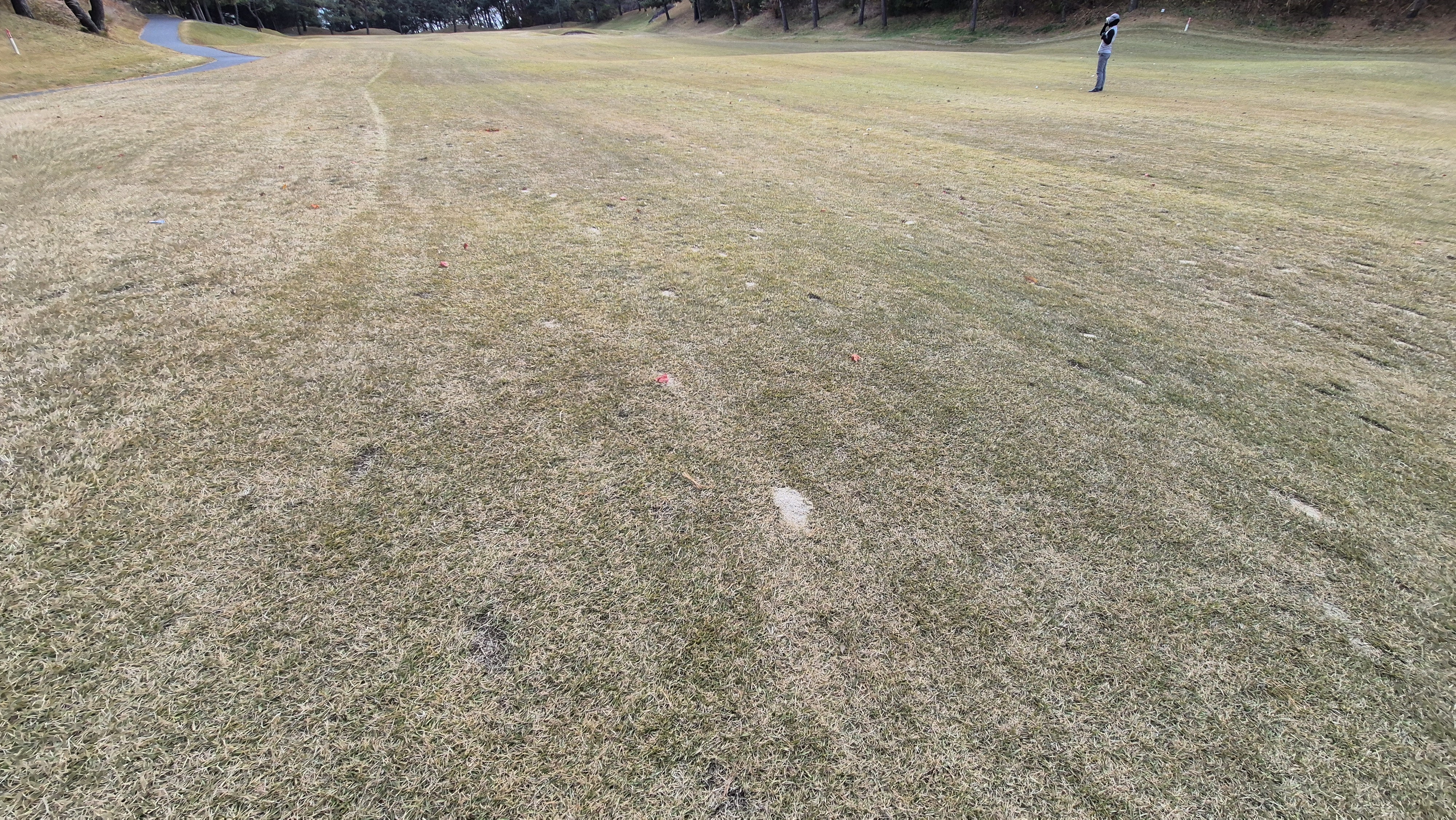 세종에머슨cc 밸리-마운틴 코스난이도