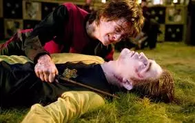 해리포터와 불의잔