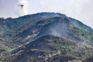 국가소방동원령 발령 조건
