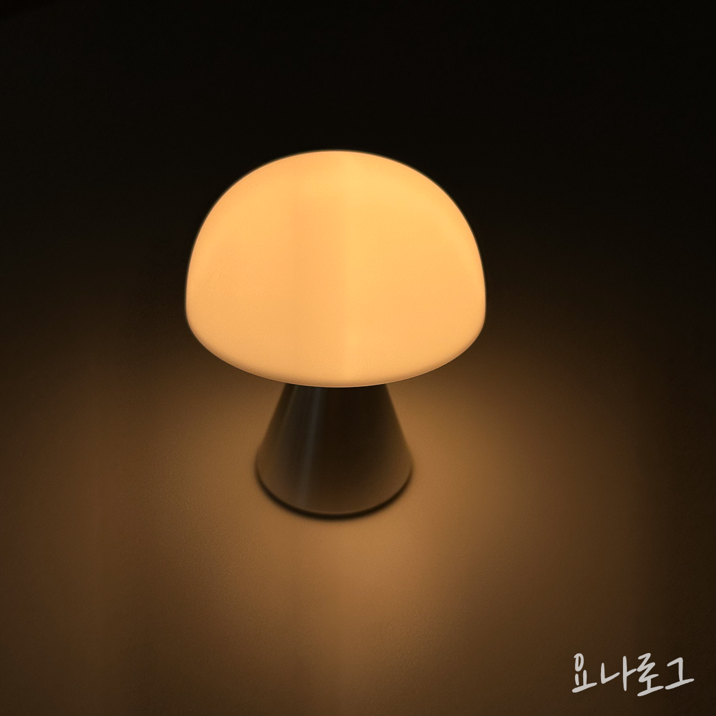 조명추천 무드등추천 인테리어 집들이 집들이선물 렉슨 렉슨미나 렉슨무드등 예쁜조명 예쁜무드등 무드등 여자친구선물 남자친구선물 대학생선물 여자친구선물추천 남자친구선물추천 오늘의집 LEXON LEXONMINA