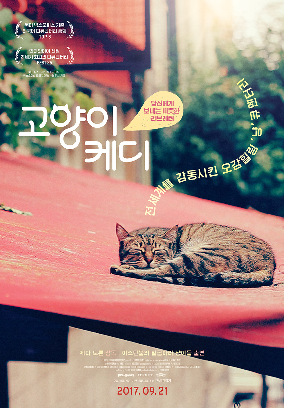 여행을 떠나고 싶게 만드는 영화 추천 고양이 케디 줄거리, 결말