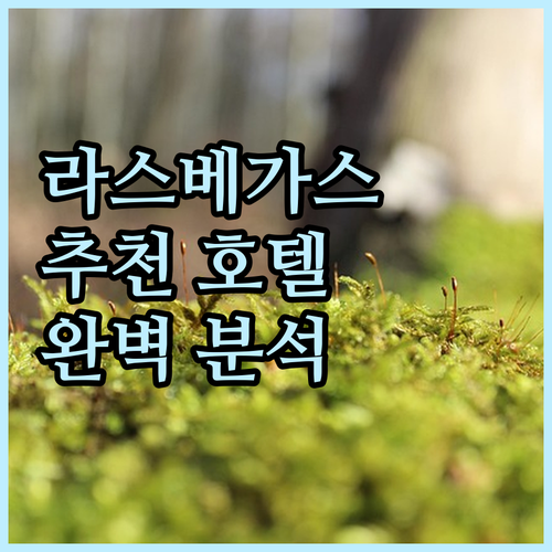 라스베이거스 서머린 추천 호텔 Bes..