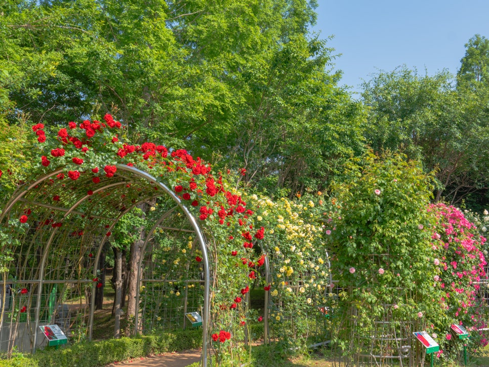 부산 정관 윗골공원