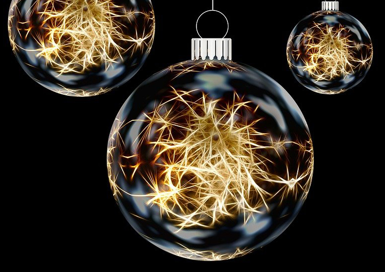 함평 겨울빛축제