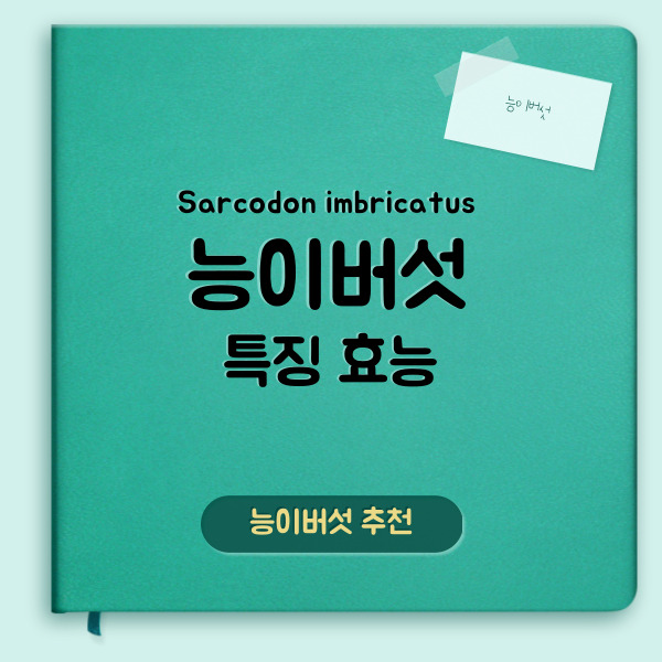 능이버섯에 대하여