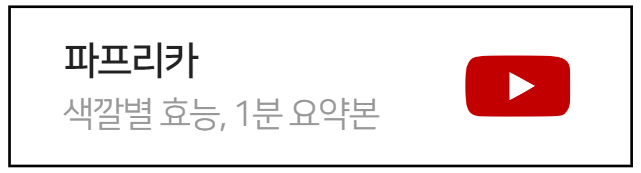 파프리카-색깔별효능-요약