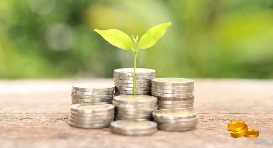동전 더미 위에서 자라나는 초록색 새싹, 돈의 성장과 투자 개념 via canva