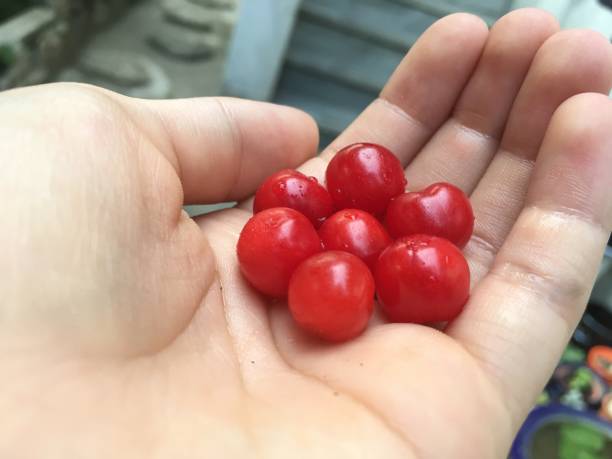 단오-뜻과-풍습과-음식과-축제에-대해서