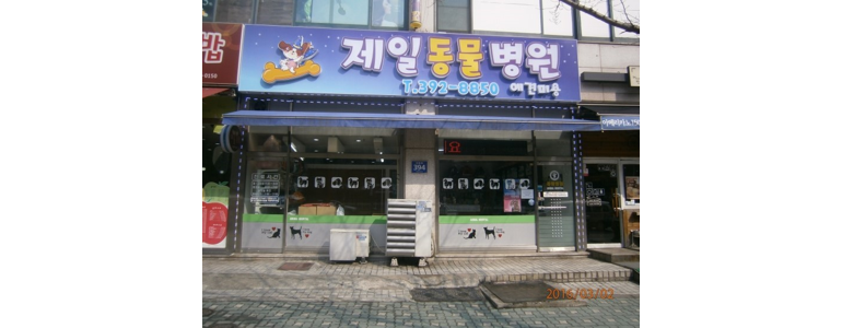 군포시 동물병원