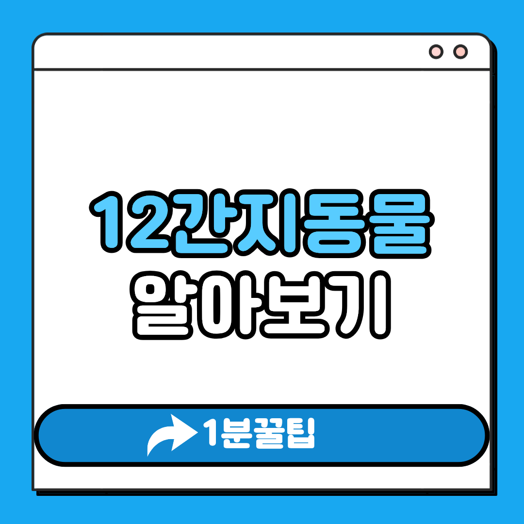 12간지동물 알아보기