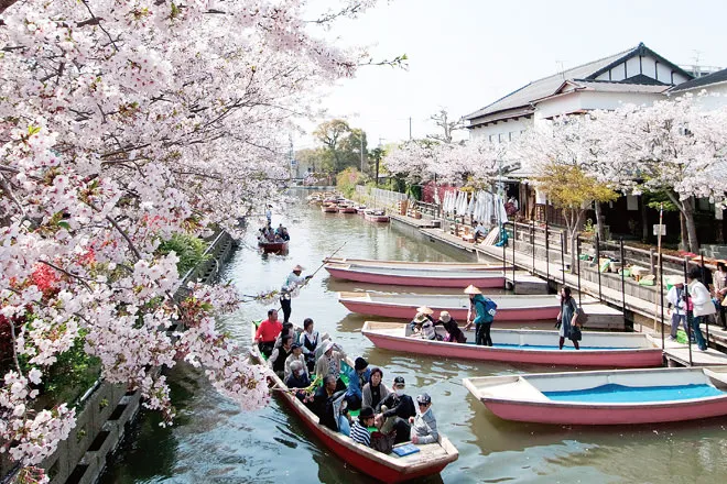 후쿠오카 자유여행 : 현지인 추천 후쿠오카 명소 여행