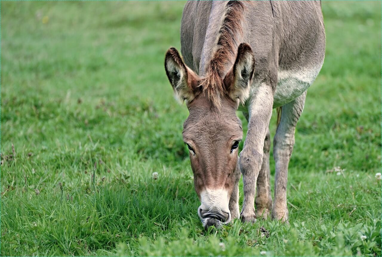 sc제일은행 정기예금 금리