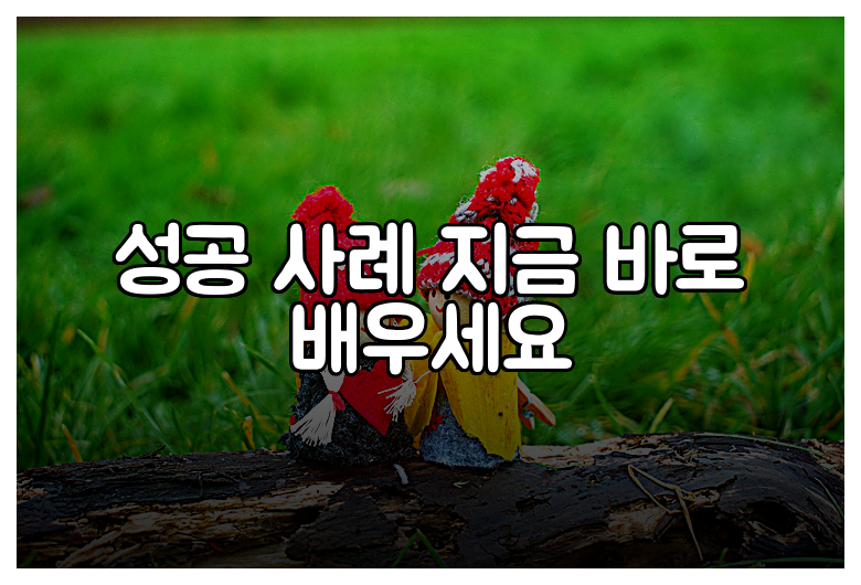 성공 사례 지금 바로 배우세요