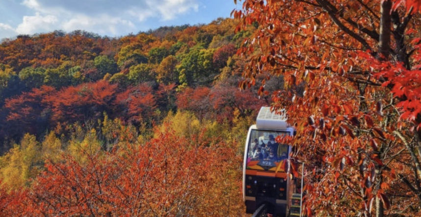 화담숲 예약하기 홈페이지 입장료 주변 맛집 모노레일 단풍 절정시기 꿀팁