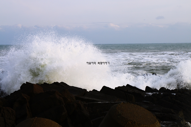 경주 가볼만한곳 베스트10