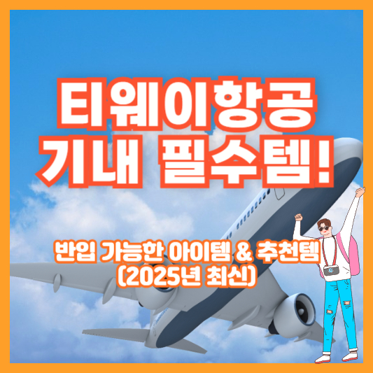 티웨이항공 기내 필수템! 반입 가능한 아이템 & 추천템 (2025년 최신)