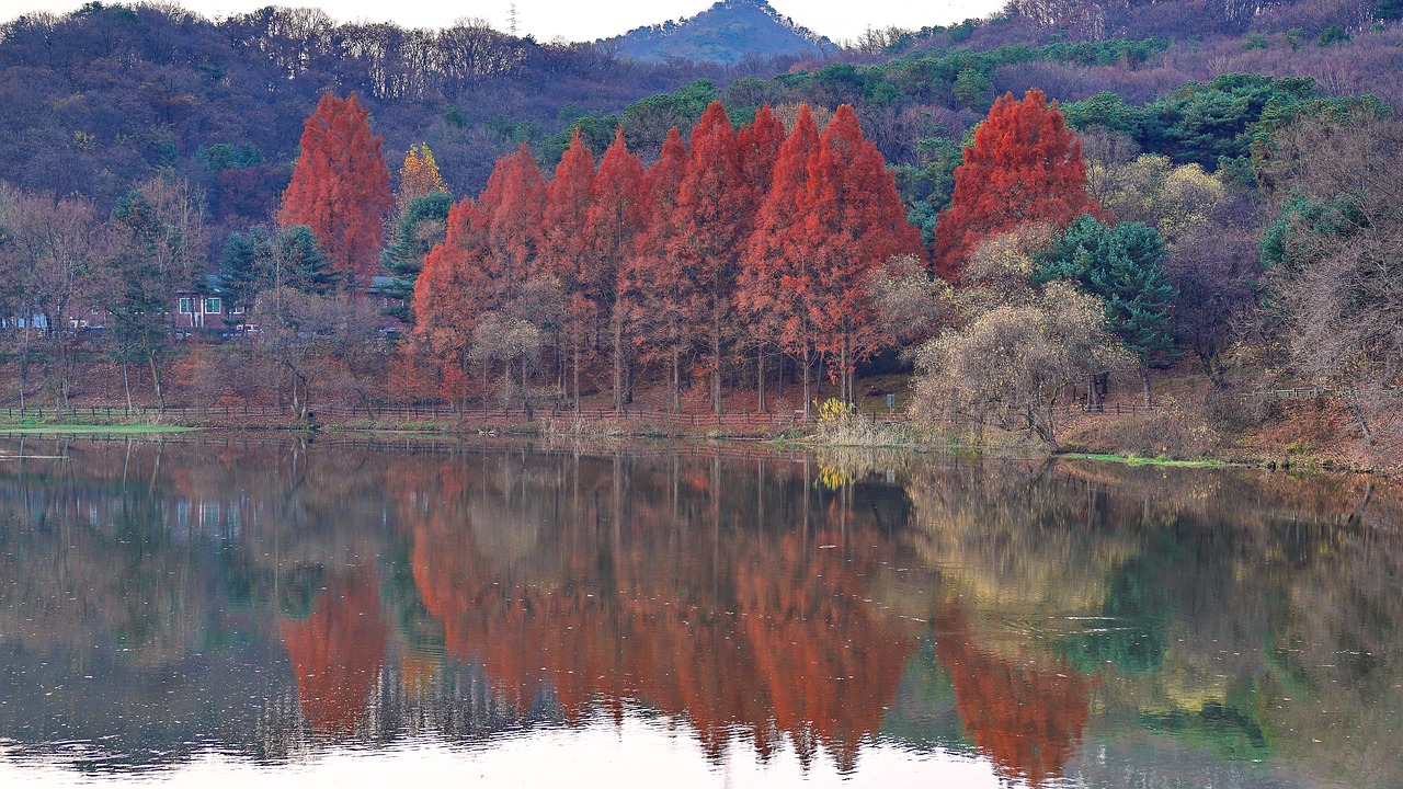 조용한 호수 사진
