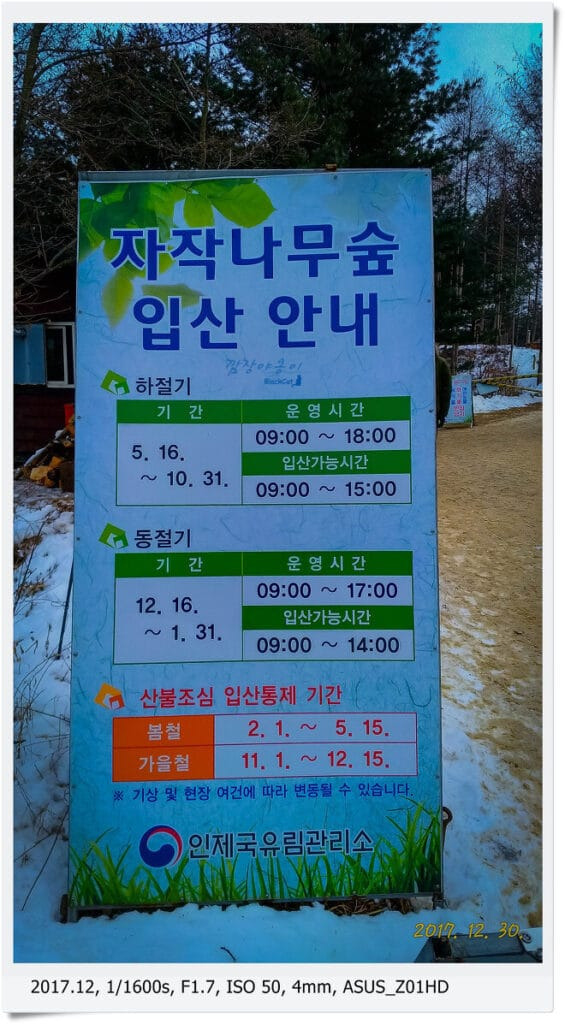 인제 원대리 자작나무숲 입구 안내문