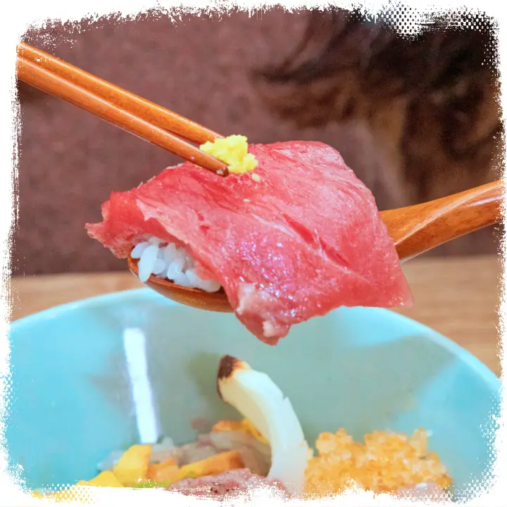 리얼맛집 연어 생참치 혼마구로 광어 도미 오징어 제철생선 카이센동 해산물 덮밥 왕십리 맛집