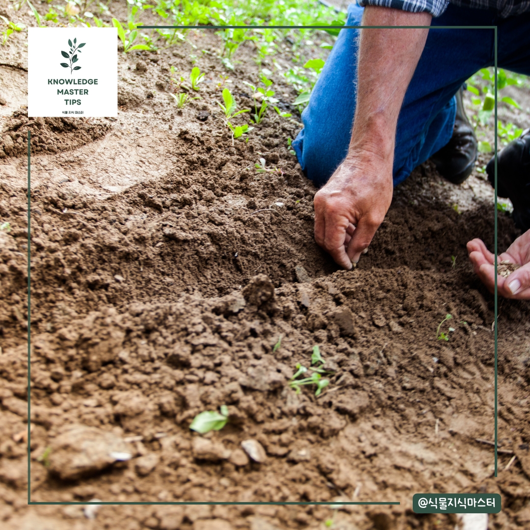 씨앗 발아 성공의 열쇠