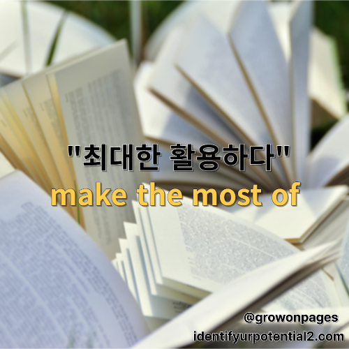 최대한 활용하다, make the most of