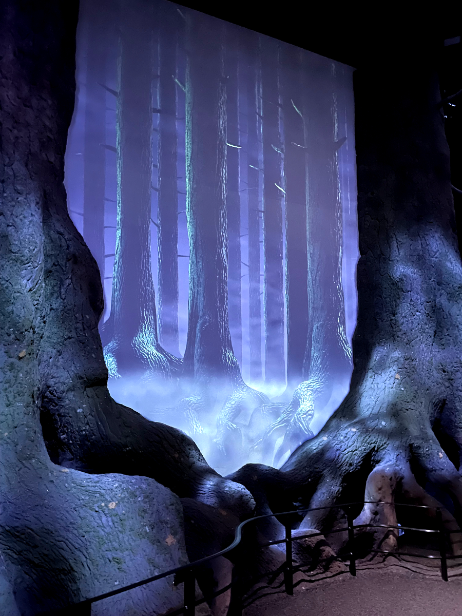 해리 포터의 공포스러운 존재 디멘터