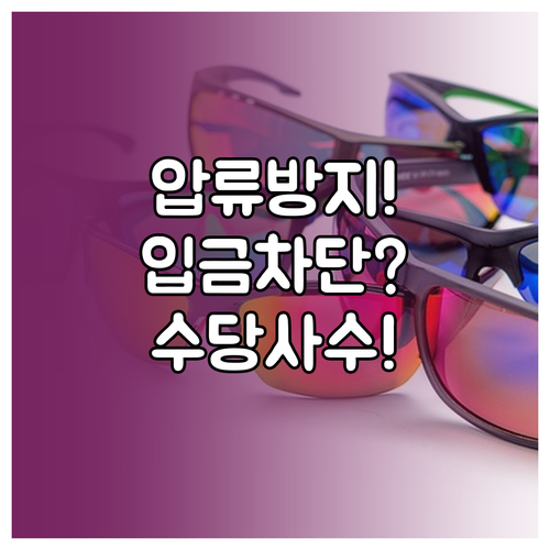 압류방지계좌 입금 차단 사유와 양육수..