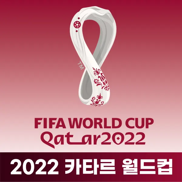 2022 카타르 월드컵