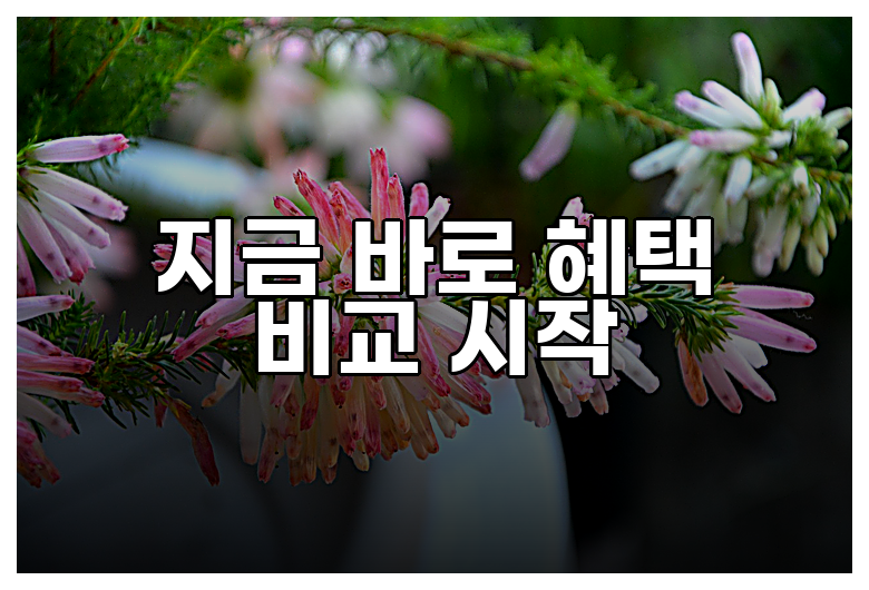 지금 바로 혜택 비교 시작