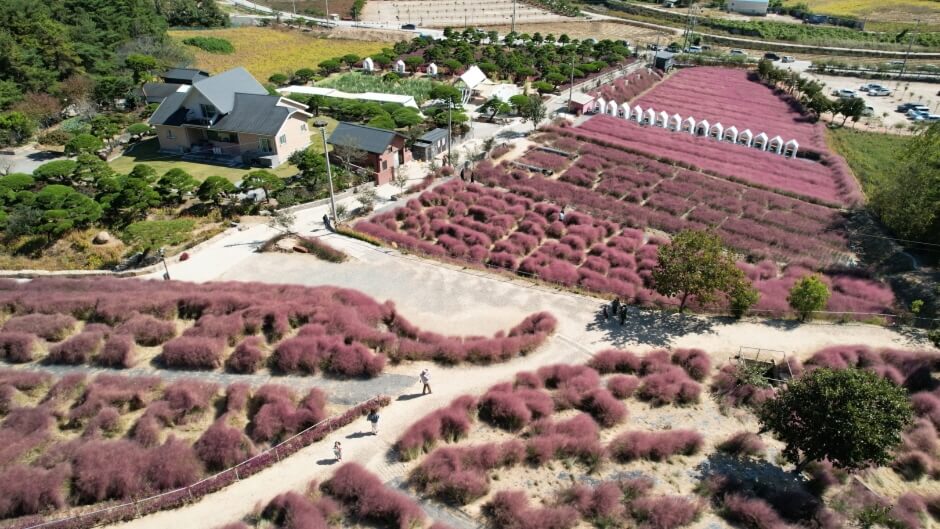 10월 축제 가볼만한 곳
