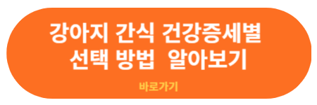 강아지 건강증세별 간식 선택 방법