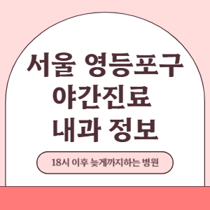 서울 영등포구 야간진료 내과 병원 (18시 이후 늦게까지하는 병원)