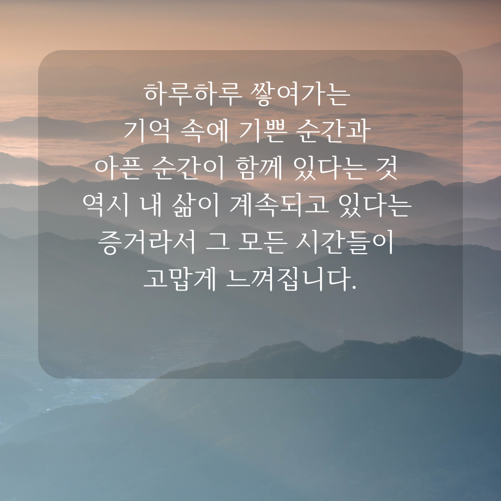 감사 글귀 좋은글 이미지 문구