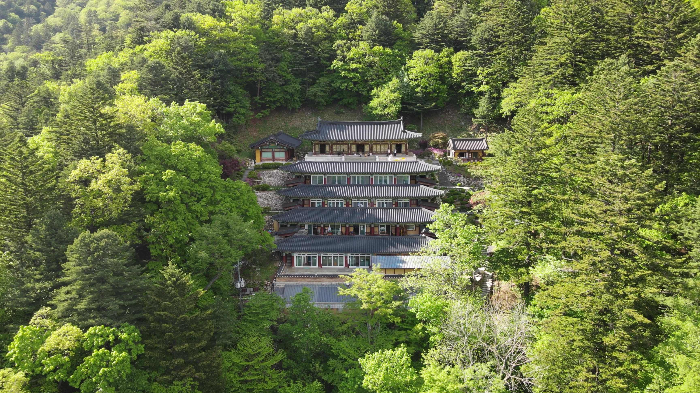 오대산 절의 모습