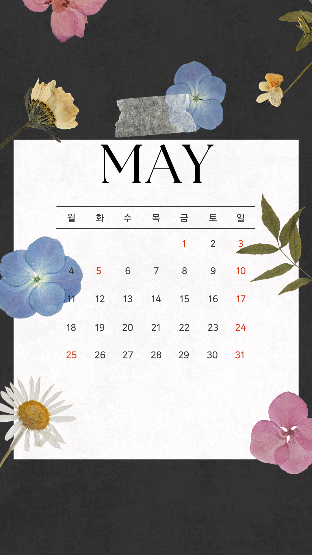 2026년5월 달력 배경화면 스마트폰 바탕화면 이미지 사진 모음