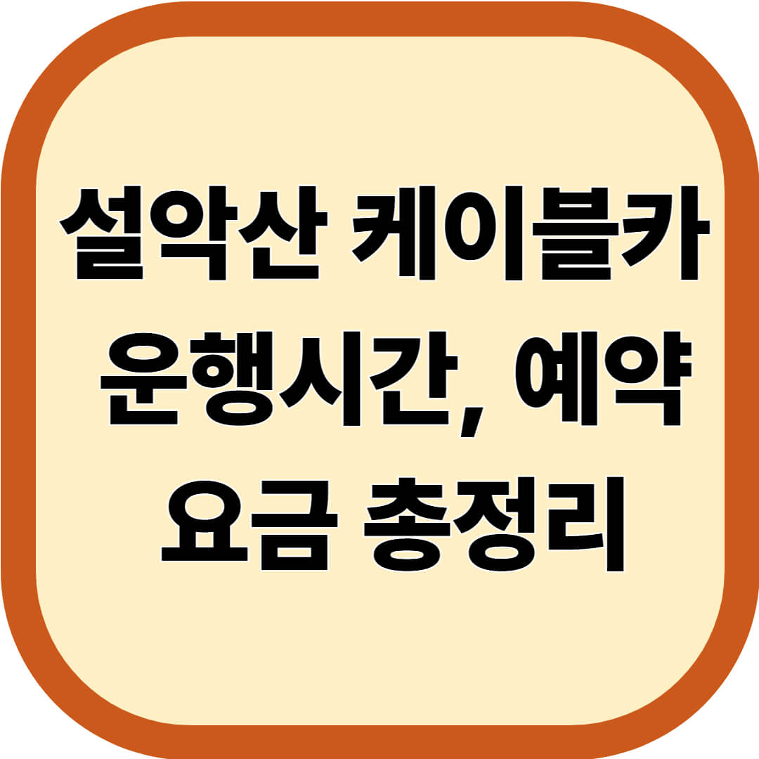 설악산 케이블카 운행시간, 예약, 요금 총정리
