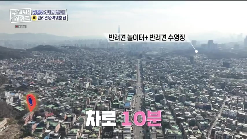 구해줘홈즈 댕댕하우스 동물병원 인접 서울시 광진구 중곡동 전세 매매 매물 가격 및 구조 인테리어 리모델링 최종선택 더보이즈 영훈 현재 소개