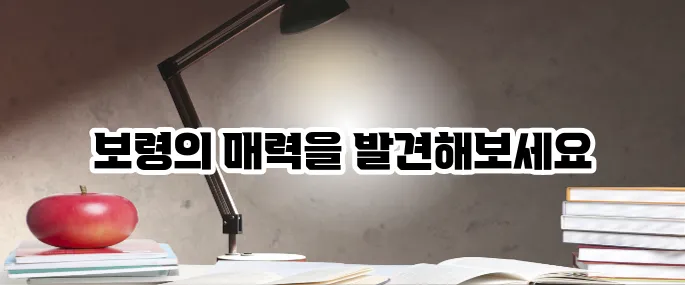 보령 가볼만한곳 베스트10 머드축제 외 추천 명소