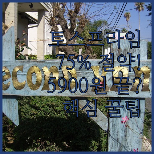 토스프라임 5900원 구독료 75% ..