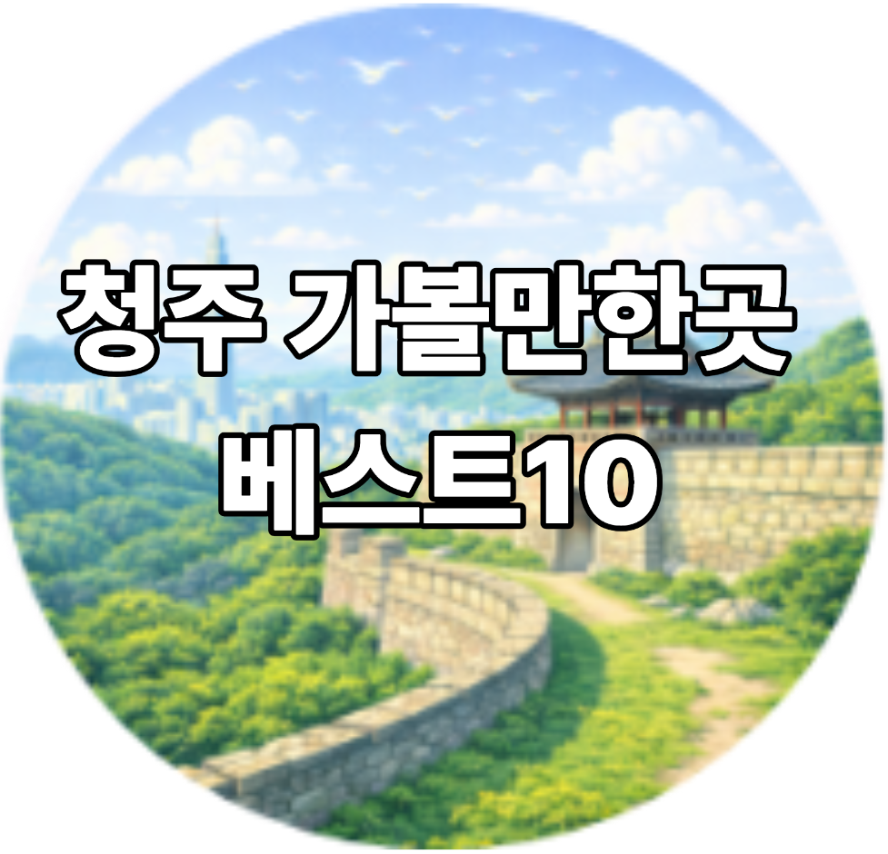 청주 가볼만한곳 베스트10