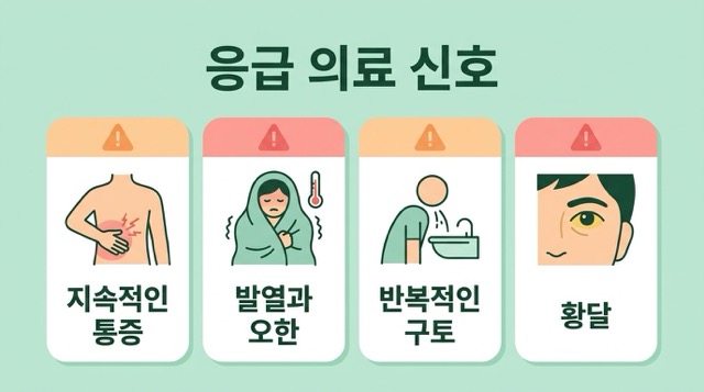 담낭염 응급 진료 지속 통증 열 오한 구토 황달