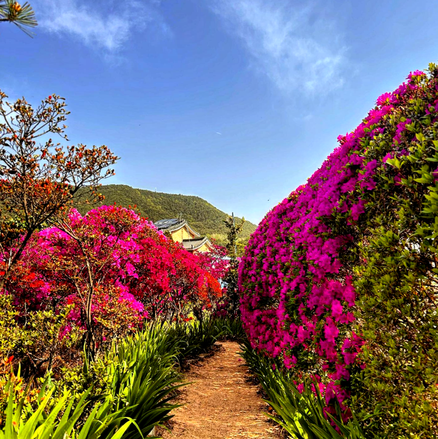 특색있고 아름다운 민간 정원 30선 추천 여행 - 26. 정읍 들꽃마당(제이포렛)