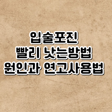 입술 포진 빨리 낫는방법 (원인, 연고사용법)