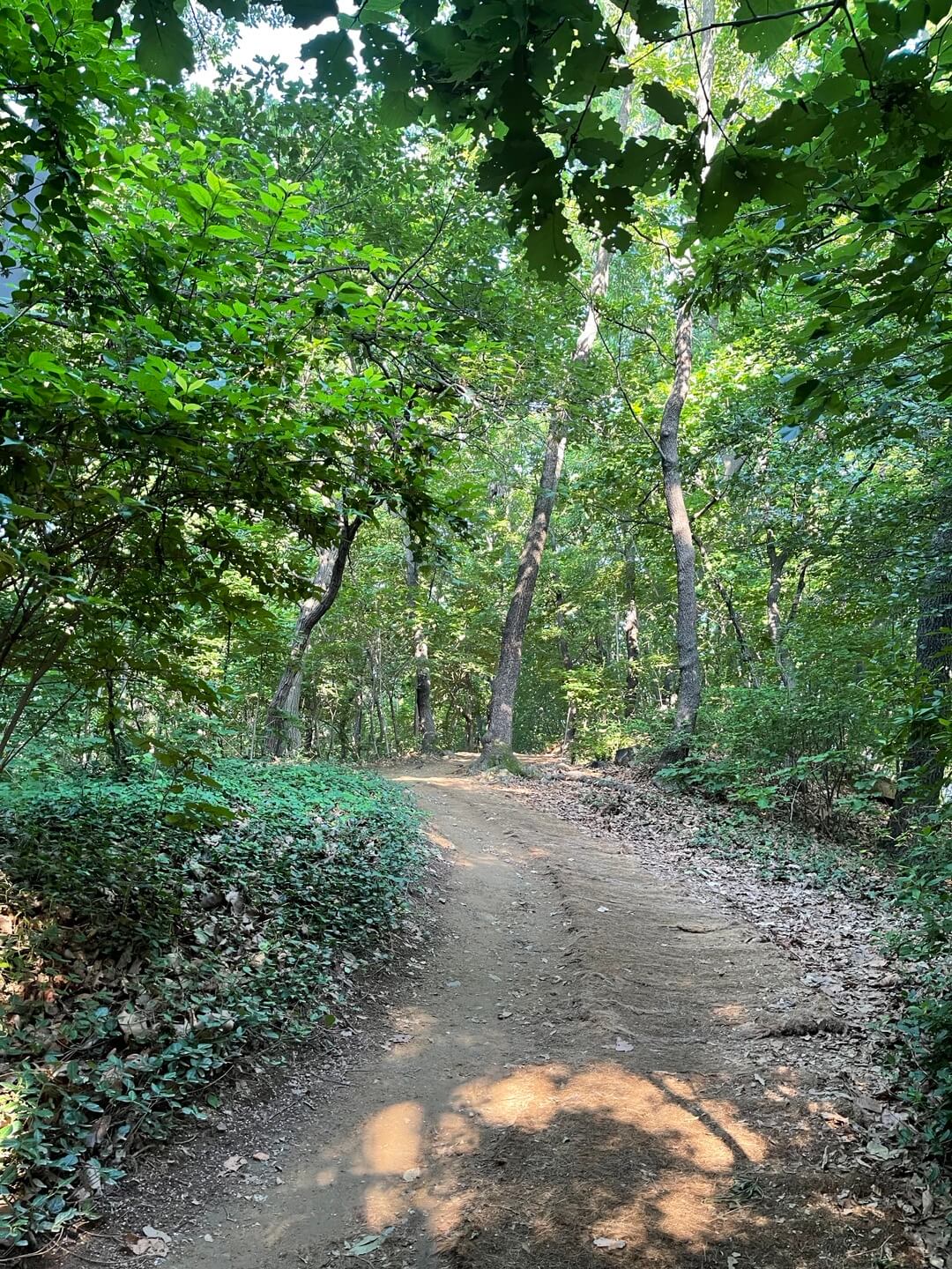 공복 유산소, 등산로, 공복운동