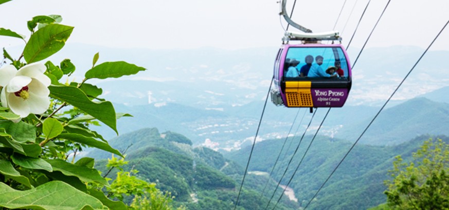 발왕산 케이블카 예약 및 시간 요금할인