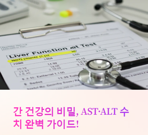AST ALT 수치 완벽 가이드