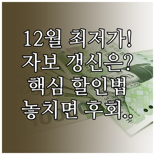 2025년 12월 자동차보험 갱신 최..